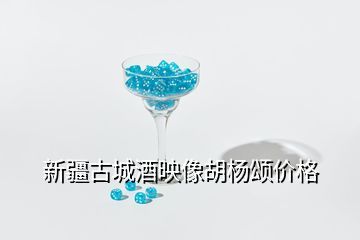 新疆第一窖古城酒業(yè)酒類產(chǎn)品價格,這酒值多錢